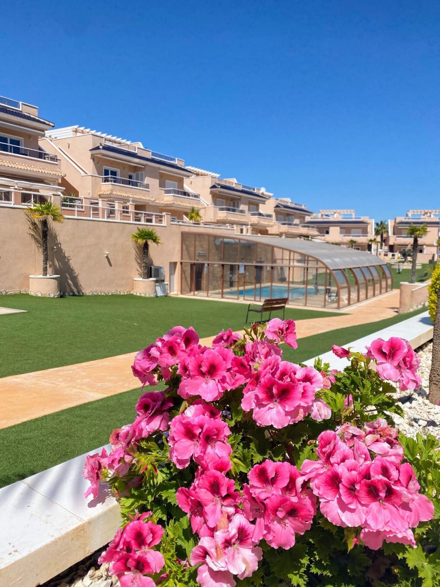 Apartments Punta Prima Indoor & Outdoor Pool Τορεβιέχα Εξωτερικό φωτογραφία